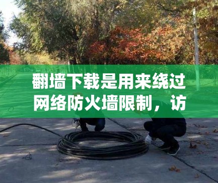 翻墙下载是用来绕过网络防火墙限制，访问外部网站或资源的一种方式。以下是对该方法的详细分析和建议