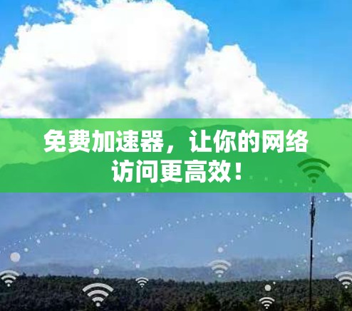免费加速器，让你的网络访问更高效！