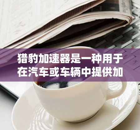 猎豹加速器是一种用于在汽车或车辆中提供加速动力的装置，通常由机械或电子系统驱动，能够在车辆行驶过程中帮助车辆保持或加速运动。它的名字中猎豹可能来源于它的外形，形状像猎豹，象征着力量和效率