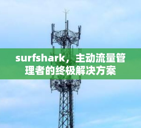 surfshark，主动流量管理者的终极解决方案