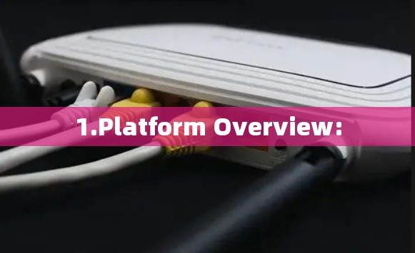 1.Platform Overview: