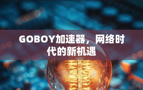 GOBOY加速器，网络时代的新机遇