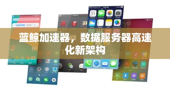 蓝鲸加速器，数据服务器高速化新架构