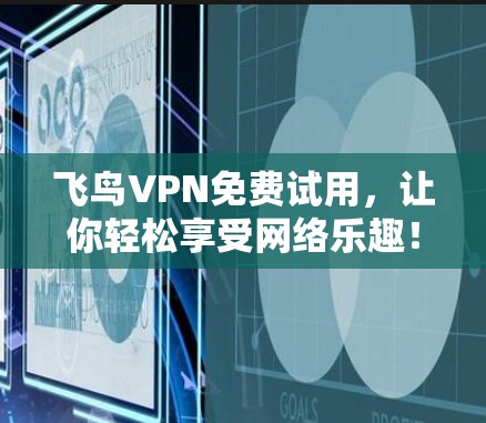 飞鸟VPN免费试用，让你轻松享受网络乐趣！