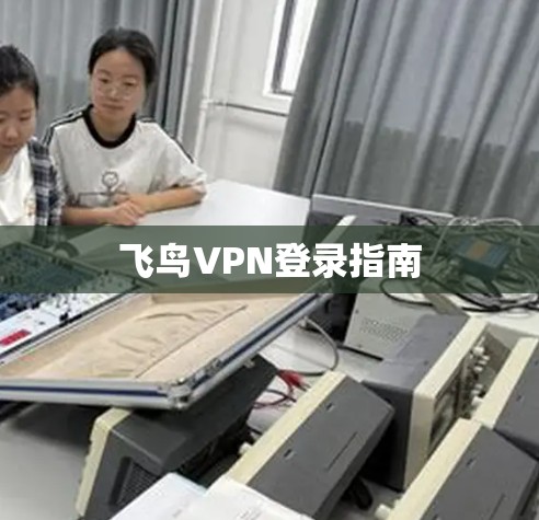 飞鸟VPN登录指南