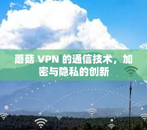 蘑菇 VPN 的通信技术，加密与隐私的创新