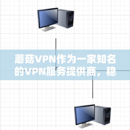 蘑菇VPN作为一家知名的VPN服务提供商，稳定节点则是那些长期使用蘑菇VPN服务的用户。以下是对蘑菇VPN稳定节点的详细解析