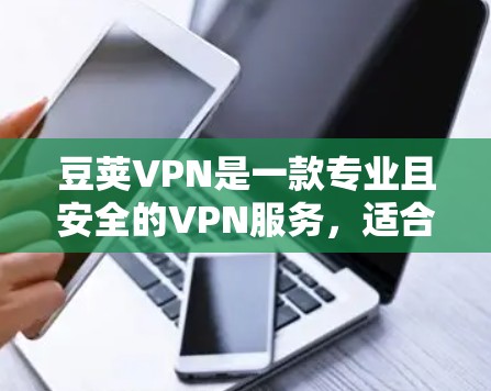 豆荚VPN是一款专业且安全的VPN服务，适合需要高安全性和复杂配置的用户。以下是对豆荚VPN的详细介绍