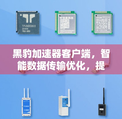 黑豹加速器客户端，智能数据传输优化，提升网络效率的通信工具