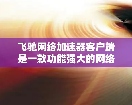 飞驰网络加速器客户端是一款功能强大的网络加速工具，为用户提供了多种加速方式，帮助提升网络性能。以下是详细的使用指南和功能说明