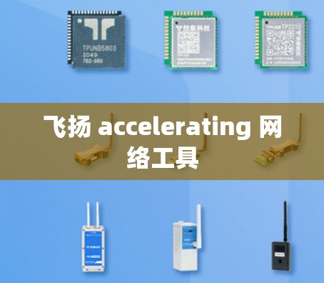飞扬 accelerating 网络工具