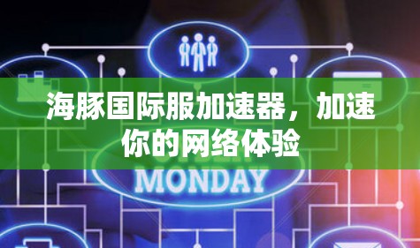 海豚国际服加速器,加速你的网络体验