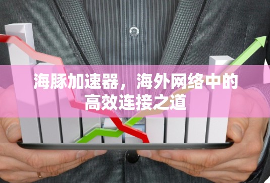 海豚加速器，海外网络中的高效连接之道