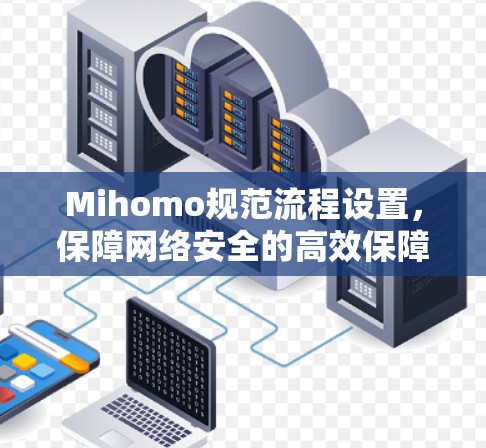 Mihomo规范流程设置,保障网络安全的高效保障