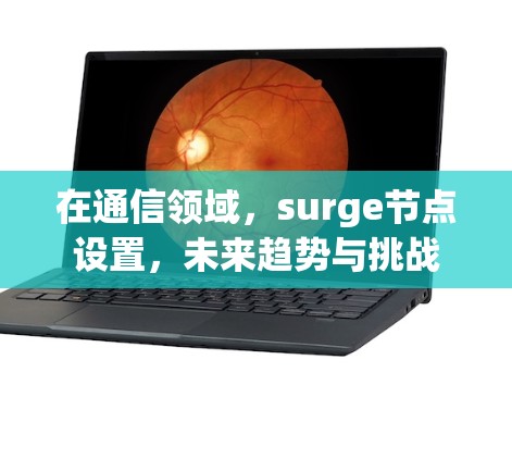 在通信领域，surge节点设置，未来趋势与挑战