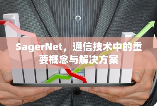 SagerNet，通信技术中的重要概念与解决方案