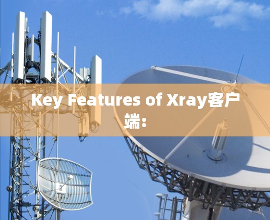 Key Features of Xray客户端: Key Features of Xray客户端: