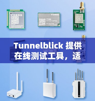 Tunnelblick 提供在线测试工具，适用于测试云服务器、网络设备或终端设备的性能。以下是其主要功能和使用指南