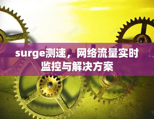 surge测速，网络流量实时监控与解决方案