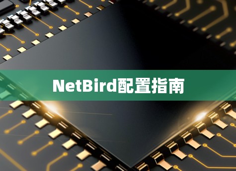 NetBird配置指南
