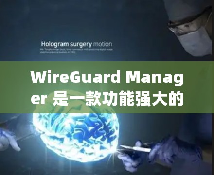 WireGuard Manager 是一款功能强大的安全设备管理工具,旨在为用户和组织提供安全配置管理功能。以下是一个详细的配置指南,涵盖 WireGuard Manager 的主要功能和配置步骤
