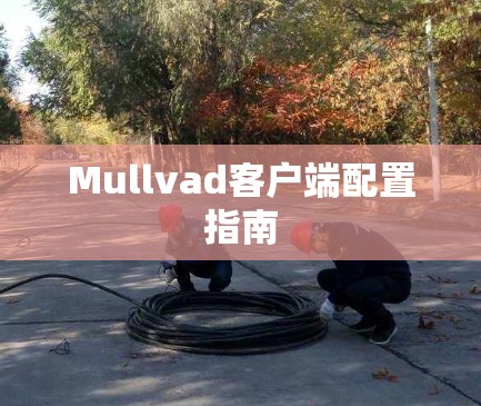 Mullvad客户端配置指南
