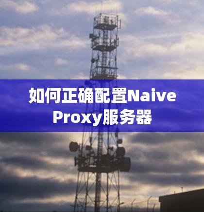如何正确配置NaiveProxy服务器 如何正确配置NaiveProxy服务器