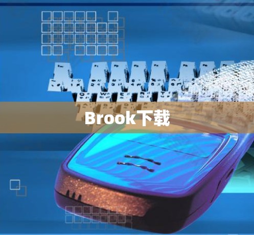 Brook下载