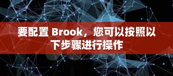 要配置 Brook，您可以按照以下步骤进行操作