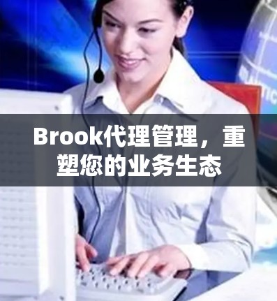 Brook代理管理，重塑您的业务生态