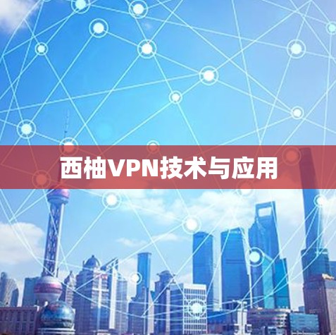 西柚VPN技术与应用 西柚VPN技术与应用