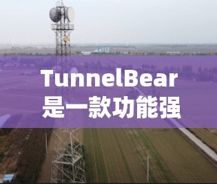 TunnelBear 是一款功能强大的工具,主要用于开发、测试和管理。以下是一些使用TunnelBear的指南