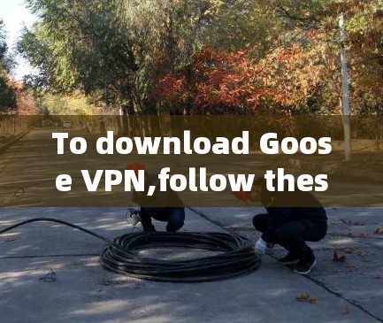 To download Goose VPN,follow these steps: