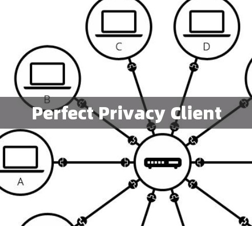 Perfect Privacy Client
