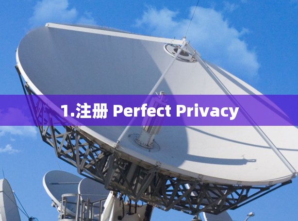 1.注册 Perfect Privacy