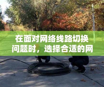 在面对网络线路切换问题时,选择合适的网络线路切换平台至关重要,每个平台各有其独特的优势和适用场景。以下是对各个平台的详细分析和推荐
