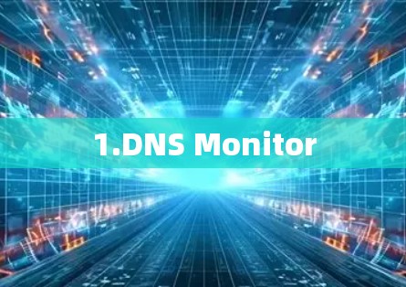 1.DNS Monitor