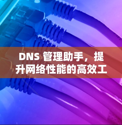 DNS 管理助手，提升网络性能的高效工具