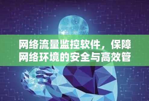 网络流量监控软件,保障网络环境的安全与高效管理 网络流量监控软件,保障网络环境的安全与高效管理