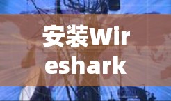 安装Wireshark是一个常见的操作,通常分为两个步骤,安装依赖包和安装软件。以下是一些常见的方法和步骤,适用于大多数用户 安装Wireshark是一个常见的操作,通常分为两个步骤,安装依赖包和安装软件。以下是一些常见的方法和步骤,适用于大多数用户