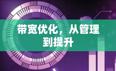 带宽优化,从管理到提升