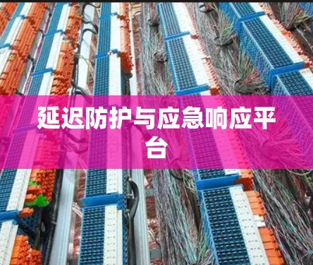 延迟防护与应急响应平台