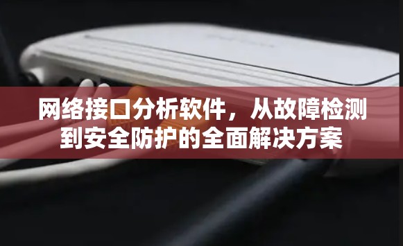 网络接口分析软件,从故障检测到安全防护的全面解决方案