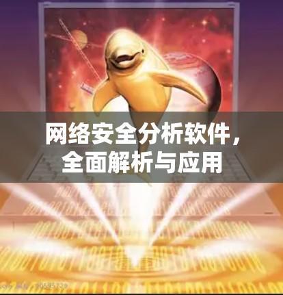 网络安全分析软件,全面解析与应用