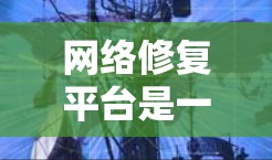网络修复平台是一个专门用于处理网络故障和管理的综合平台,旨在帮助用户快速找到解决方案并优化网络环境。以下是该平台的详细介绍