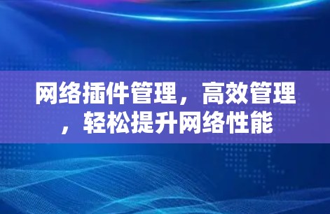 网络插件管理,高效管理,轻松提升网络性能
