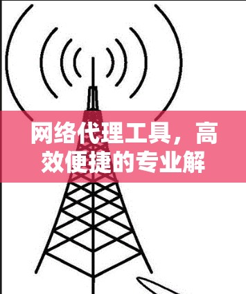 网络代理工具,高效便捷的专业解决方案