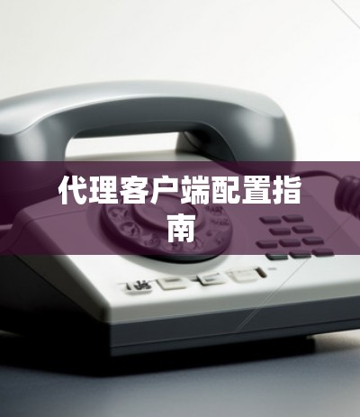 代理客户端配置指南