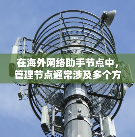 在海外网络助手节点中，管理节点通常涉及多个方面，包括服务器配置、资源分配、监控、优化等。以下是一些常见的管理需求和解决方案