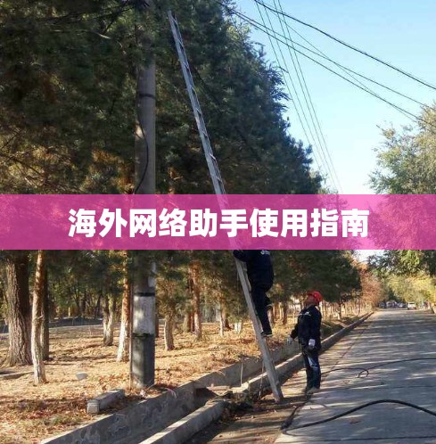 海外网络助手使用指南